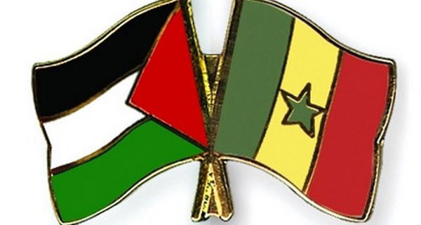 هكذا هبّت فلسطين لمساعدة السنغال بعد عقاب إسرائيل لها