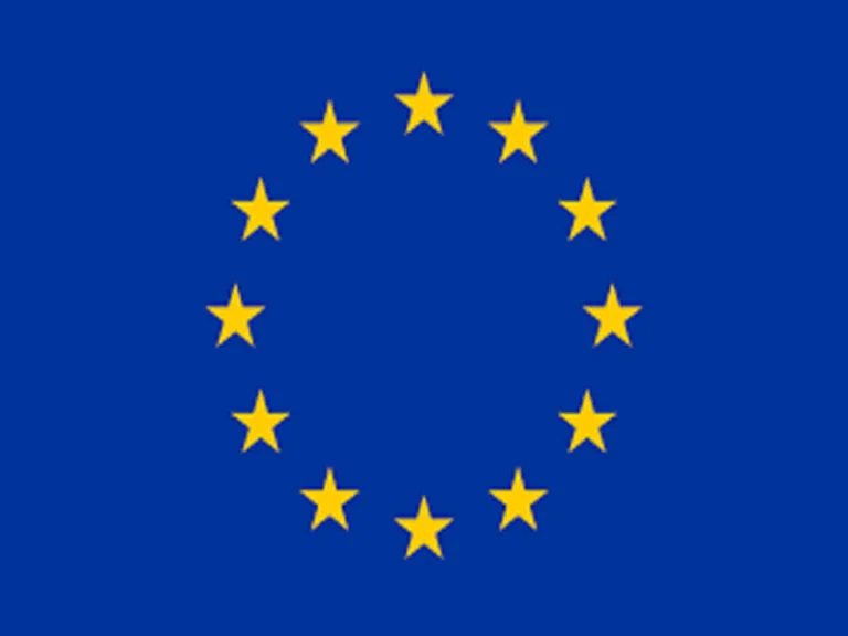 بيان مشترك: ميثاق الهجرة واللجوء: لتوفير بداية جديدة وتجنب أخطاء الماضي ، يجب معالجة العناصر المحفوفة بالمخاطر والتوسع في الجوانب الإيجابية