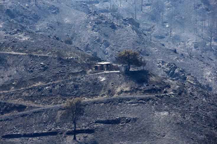 ادارة الغابات تعلن السيطرة على الحرائق المدمرة التي اجتاحت مناطق من جبال لارنكا وليماسول