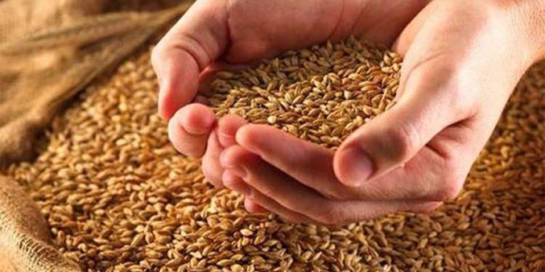 مخزونات الحبوب آخذة في الانخفاض في قبرص – يطلب المزارعون تدخل الدولة