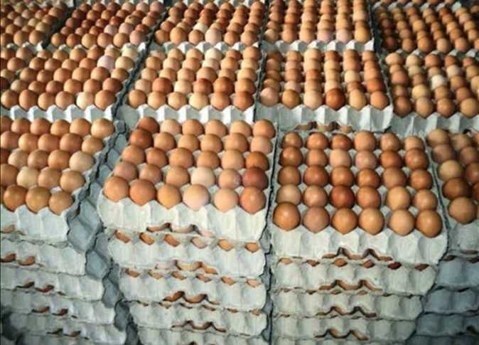 قبرص: ما سبب نقص البيض في السوبر ماركت