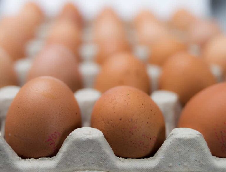 ارتفعت أسعار البيض في قبرص بنسبة 23٪ في يناير على أساس سنوي