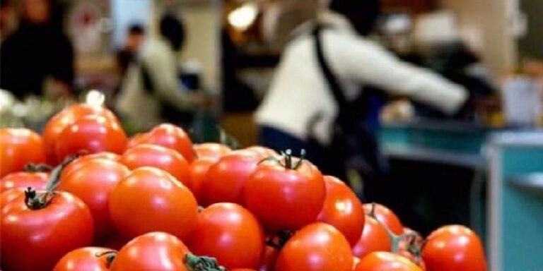 زيادات كبيرة في الطماطم والبوري في أبريل – تراجع الأسعار
