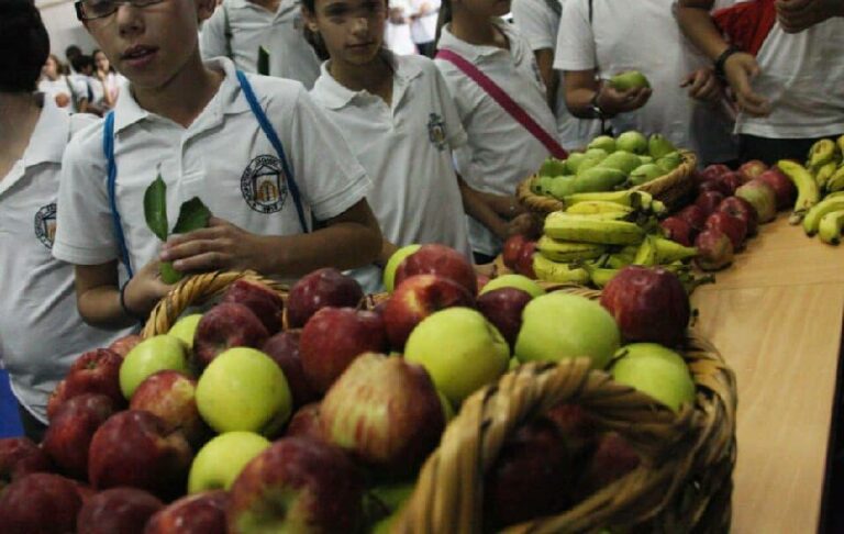برنامج ممول من الاتحاد الأوروبي يزيد من كمية الفاكهة والخضار في المدارس