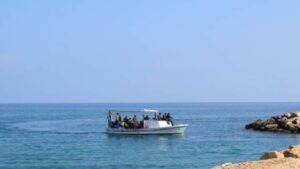 تم طرد أكثر من مائة مهاجر من قبرص هذا الأسبوع