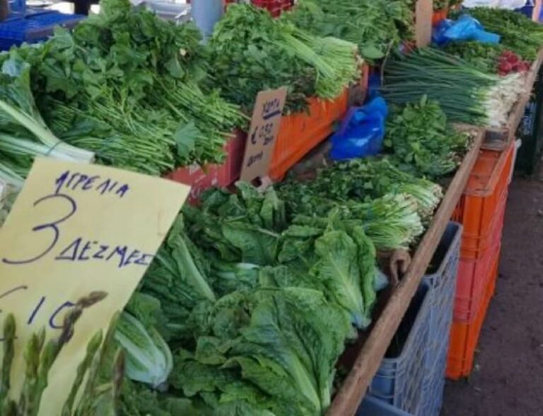 ارتفاع مفرط في أسعار الفاكهة والخضروات في قبرص