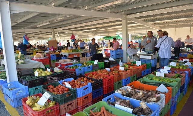 دخلت تشريعات جديدة لمراقبة جودة المنتجات الزراعية حيز التنفيذ – آخر موعد لتقديم طلبات التسجيل في السجلات الجديدة هو 31 يناير