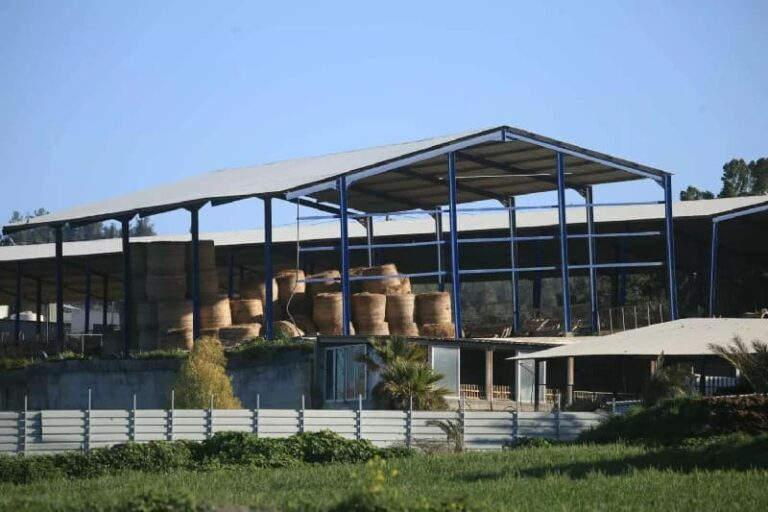 إغلاق تام على جميع مزارع قبرص مع انتشار مرض الحمى القلاعية إلى 11 وحدة زراعية