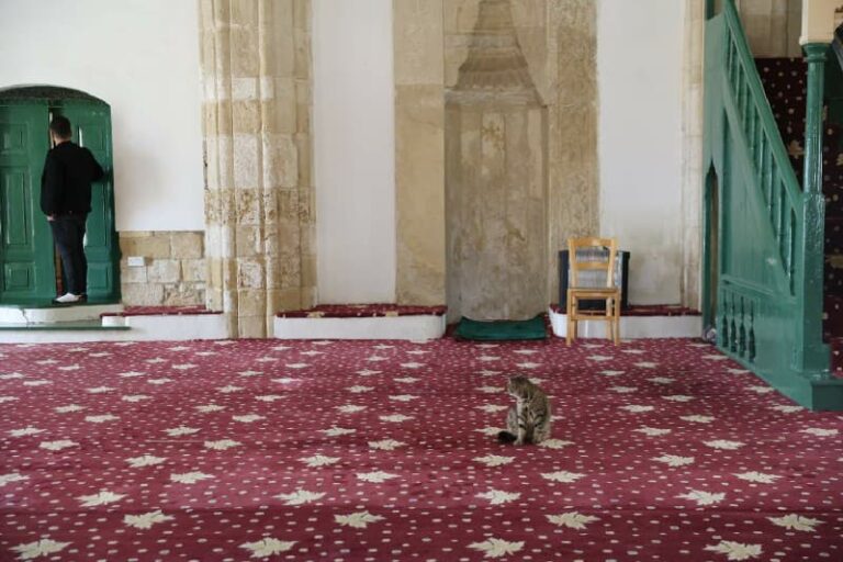 ماذا يعني عيد الفطر للمسلمين في قبرص؟