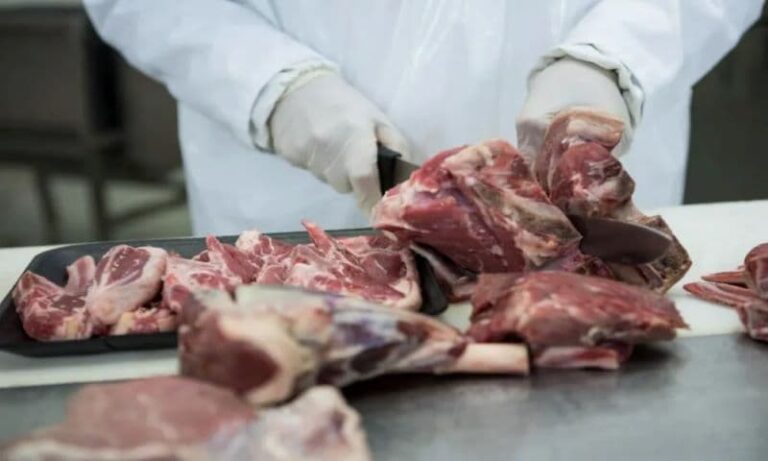 الطب البيطري: تشديد الرقابة في المسالخ ومحلات الجزارة – ماذا سيحدث في حالة حدوث انتهاك؟