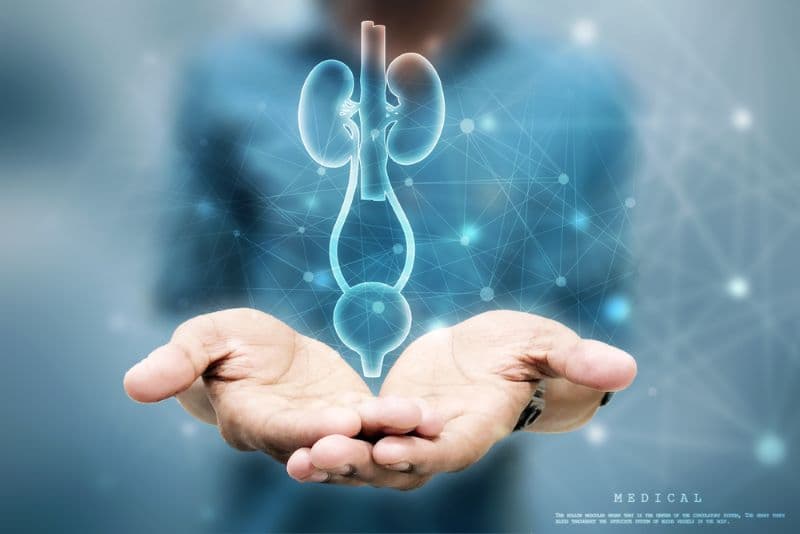 اختبار ديناميكا البول: “مخطط كهربية” المثانة – تشخيص حديث لعلاج اضطرابات التبول بشكل دقيق وفعال