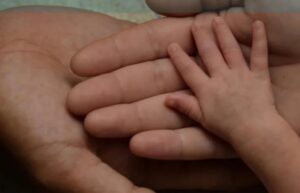 تم التأكيد على أهمية الرعاية البديلة
