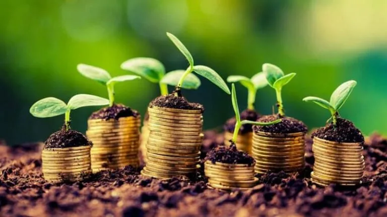 قبرص من بين الدول التي شهدت أعلى زيادة في أسعار الإنتاج الزراعي